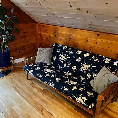 Bright And Cozy Treehouse Apartment バーリントン エクステリア 写真