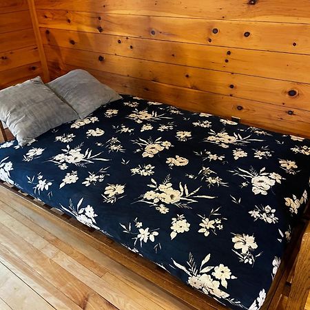Bright And Cozy Treehouse Apartment バーリントン エクステリア 写真